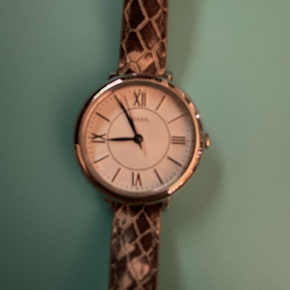 Fossil Womens Snake Print Watch